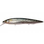 Воблер Megabass Kanata SW 160 #FA SABA