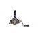 Катушка Daiwa 20 Crest LT 6000-H