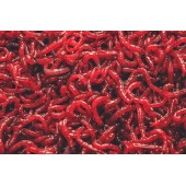 Мотыль крупный 100гр