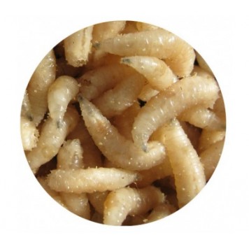 Опарыш крупный 10гр